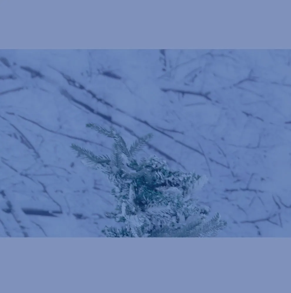 ホルターネックバックビジュードレス9