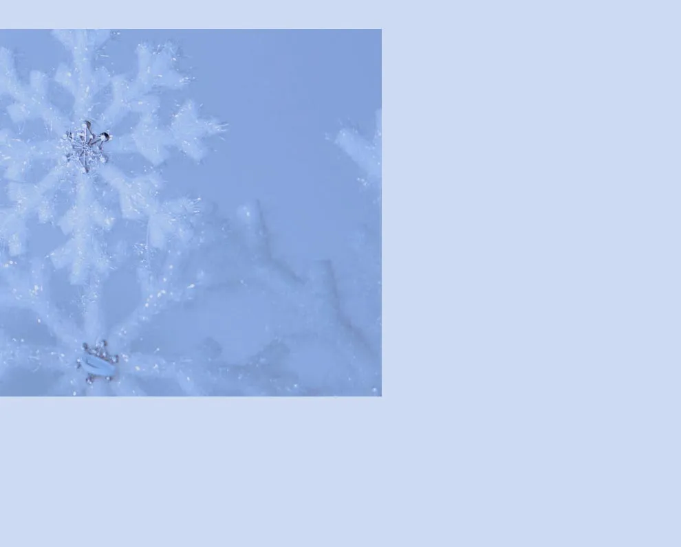 キャミソールフラワーシフォンドレス6