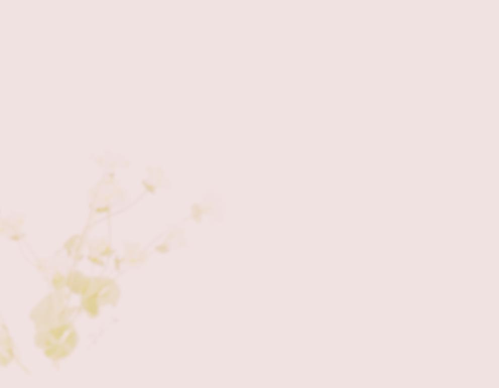 ベージュ襟付きビジューショート袖セットアップ6