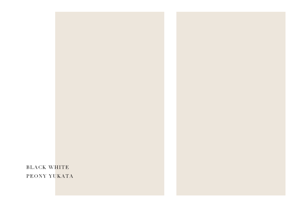 No.7 ステージ写真2