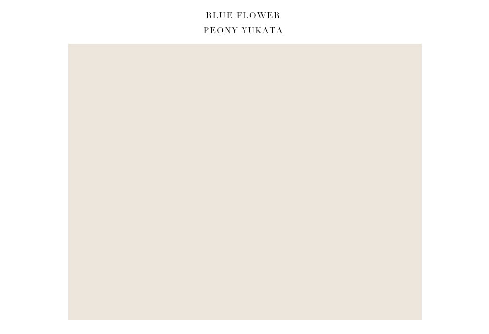 No.11 ステージ写真2