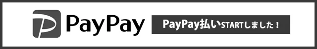 PayPay