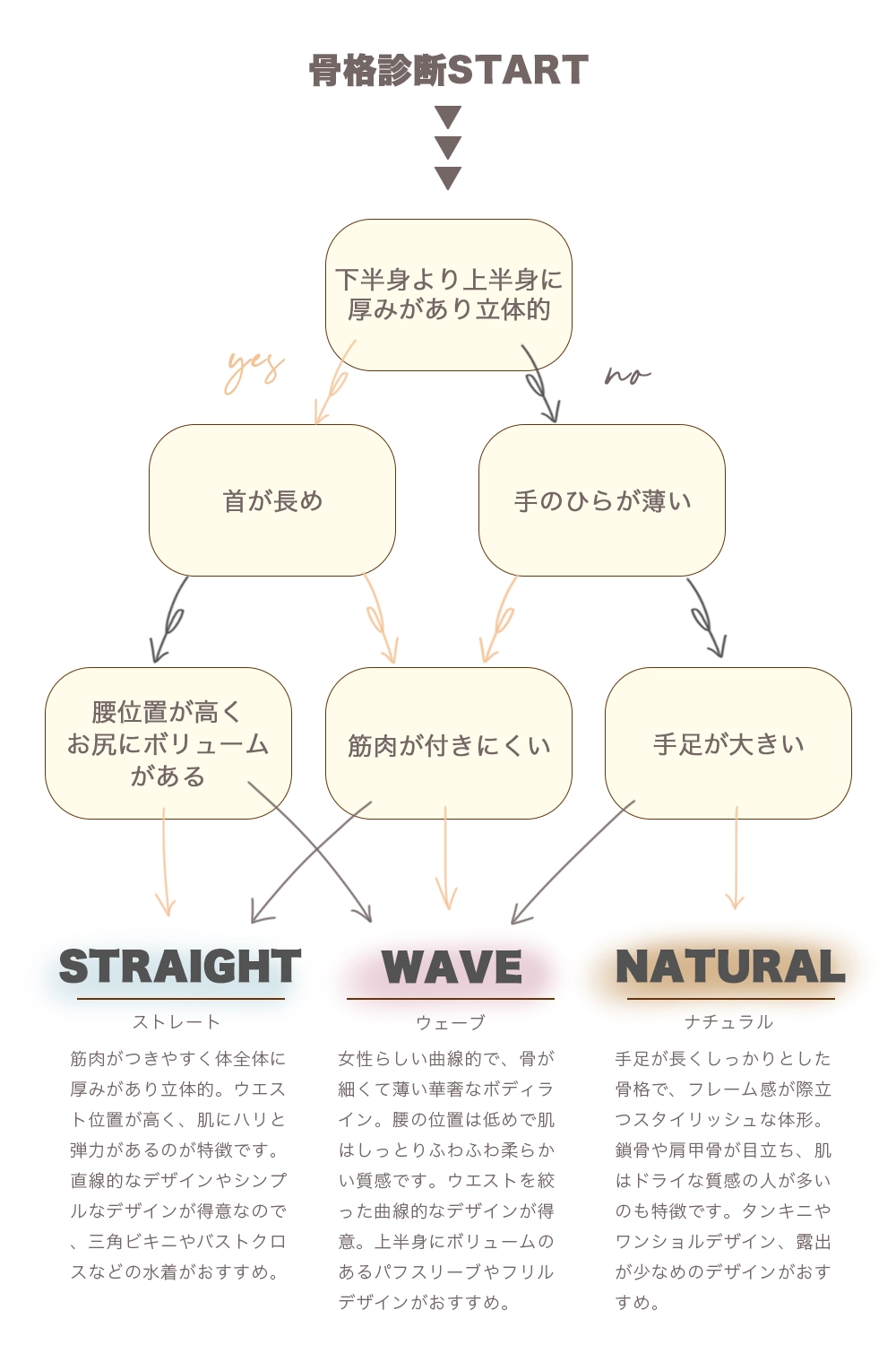 骨格タイプチャート