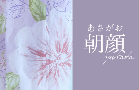 朝顔