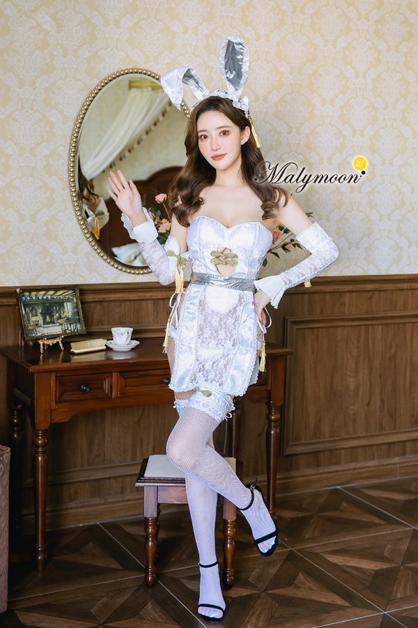 画像16: 【即日発送】チャイナバニーガール《高級コスランジェリー9点セット》【Dreamy Doll Premium/ドリーミードールプレミアム】【フリーサイズ/2カラー】[HC02] (16)