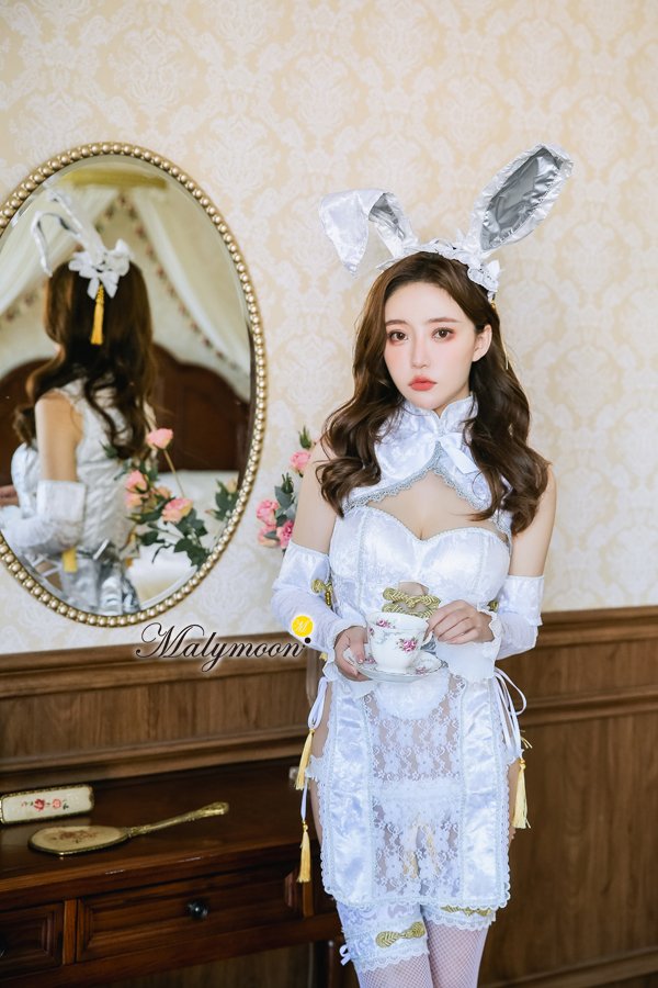 画像10: 【即日発送】チャイナバニーガール《高級コスランジェリー9点セット》【Dreamy Doll Premium/ドリーミードールプレミアム】【フリーサイズ/2カラー】[HC02] (10)