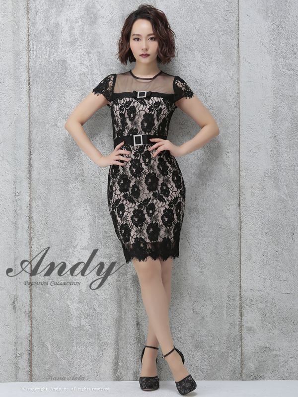 画像2: SALE!【高級ドレスセール】【ANDY/アンディ】シースルー/ フラワーレース/ タイト/ミニドレス /キャバドレス (2)