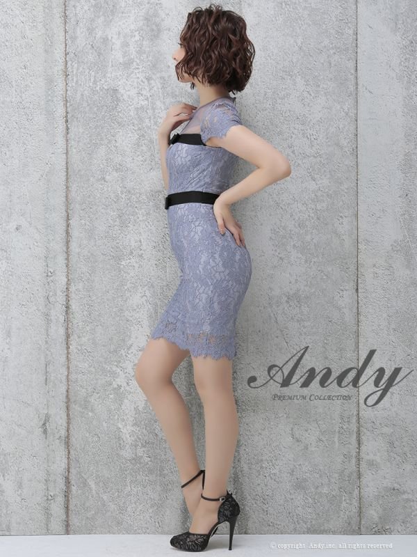 画像17: SALE!【高級ドレスセール】【ANDY/アンディ】シースルー/ フラワーレース/ タイト/ミニドレス /キャバドレス (17)