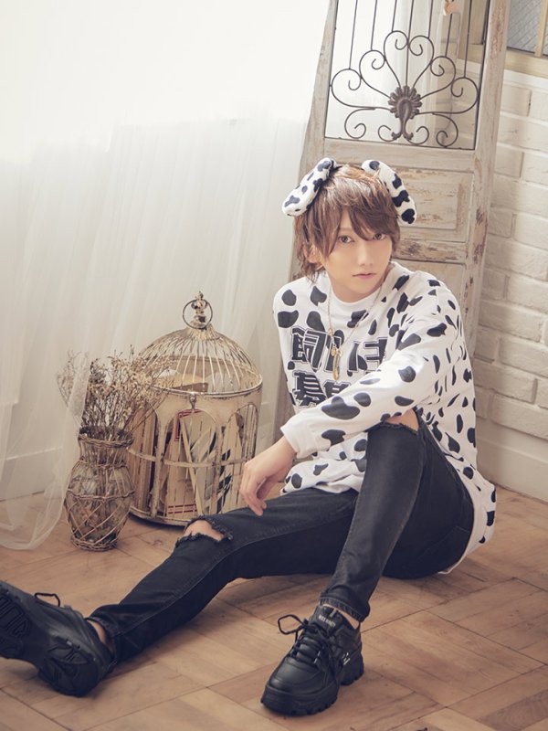 画像13: 【即日発送】【少量再入荷!即日発送!】ダルメシアントレーナー/アニマルコスプレ【sugar nineハロウィンコスプレ2点セット】【Fサイズ/1カラー】【HC02】 (13)