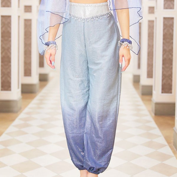 画像9: 【即日発送】アラビアンガール/アラジンコスプレセット【ハロウィン4点セット】【S-Mサイズ/2カラー】[HC03] (9)