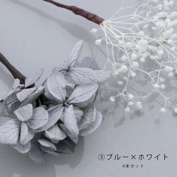 画像7: ドライフラワー【全7種類】【ヘアアクセサリー】[YMT] (7)