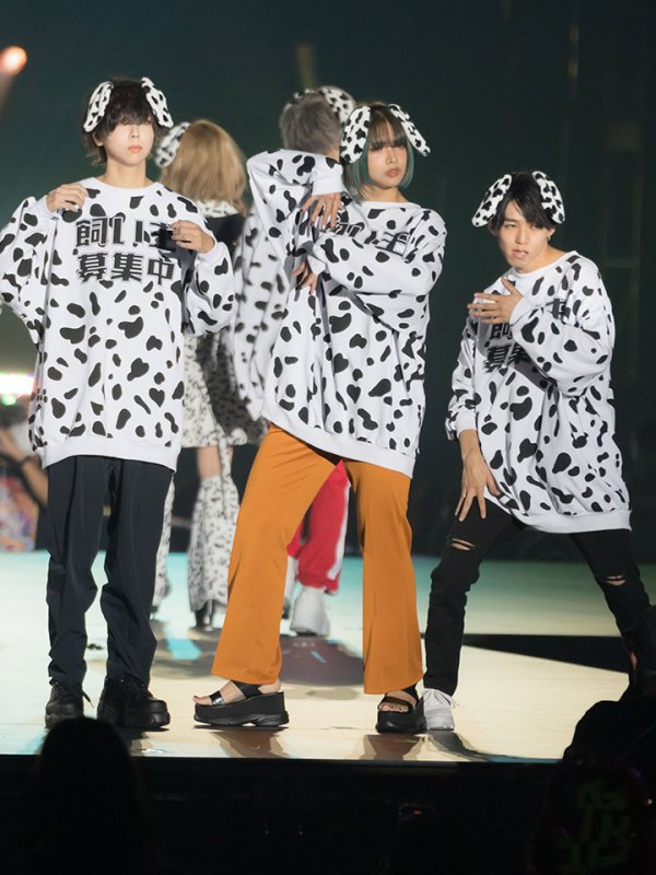 画像17: 【即日発送】【少量再入荷!即日発送!】ダルメシアントレーナー/アニマルコスプレ【sugar nineハロウィンコスプレ2点セット】【Fサイズ/1カラー】【HC02】 (17)