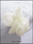 画像1: 【アクセサリー：ヘアゴム】ドットチュールシュシュ【1カラー】[OF02]  (1)