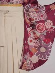 画像19: 【予約商品 / 1月中旬発送予定】菊×椿 ワインレッド二尺袖着物【卒業袴３点セット 二尺袖着物/帯/袴】 (19)