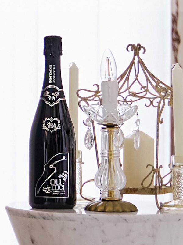 画像15: 【即日発送】アラビアンガール/アラジンコスプレセット【ハロウィン7点セット】【フリーサイズ/4カラー】[HC03] (15)