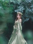 画像13: 【一部予約商品/8月下旬発送予定】【送料無料！】【ハロウィン】エキゾチックエルフ【コスプレ3点セット】【フリーサイズサイズ/4カラー】[HC03] (13)
