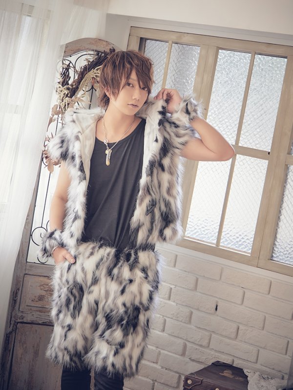 画像11: 【SALE!!】【即日発送】メンズウルフ/アニマルコスプレセット【sugar nineハロウィンコスプレ4点セット】【Fサイズ/1カラー】【HC02】 (11)