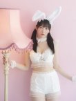 画像6: 【即日発送】【sugar nine×マリームーンコラボ】 セクシーレースバニーコスプレセット【sugar nineハロウィン7点セット】【S-Mサイズ/4カラー】[HC03] (6)