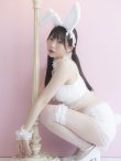 画像8: 【即日発送】【sugar nine×マリームーンコラボ】 セクシーレースバニーコスプレセット【sugar nineハロウィン7点セット】【S-Mサイズ/4カラー】[HC03] (8)