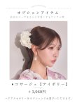 モデル：かな