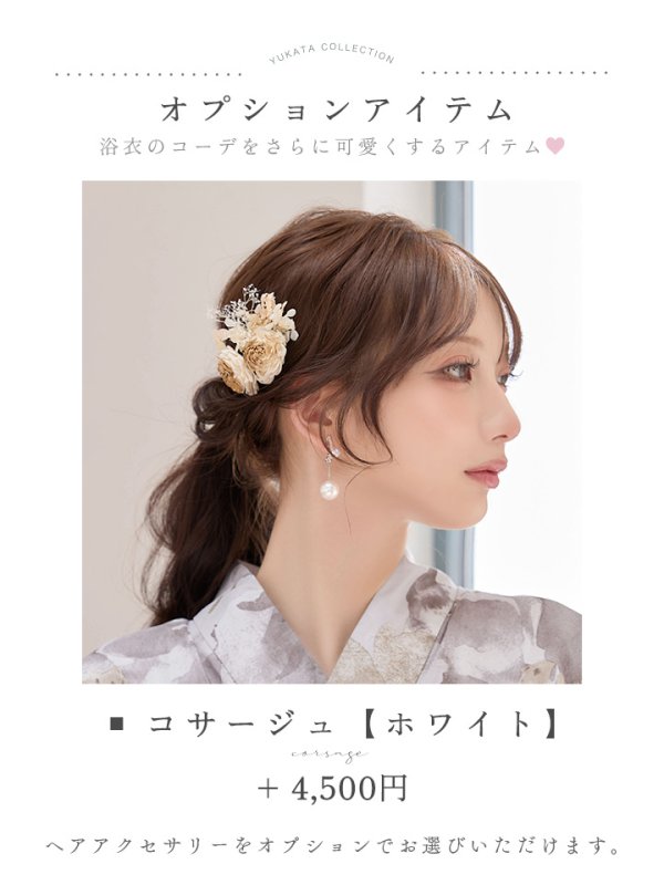 モデル:しい