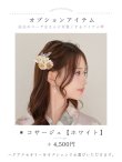 モデル:みゆ