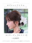 画像24: 送料無料！Riuコラボ ノーブルネイビー百合浴衣【浴衣３点セット 浴衣/帯/下駄】[OF04]【一部予約商品/8月上旬発送予定】 (24)